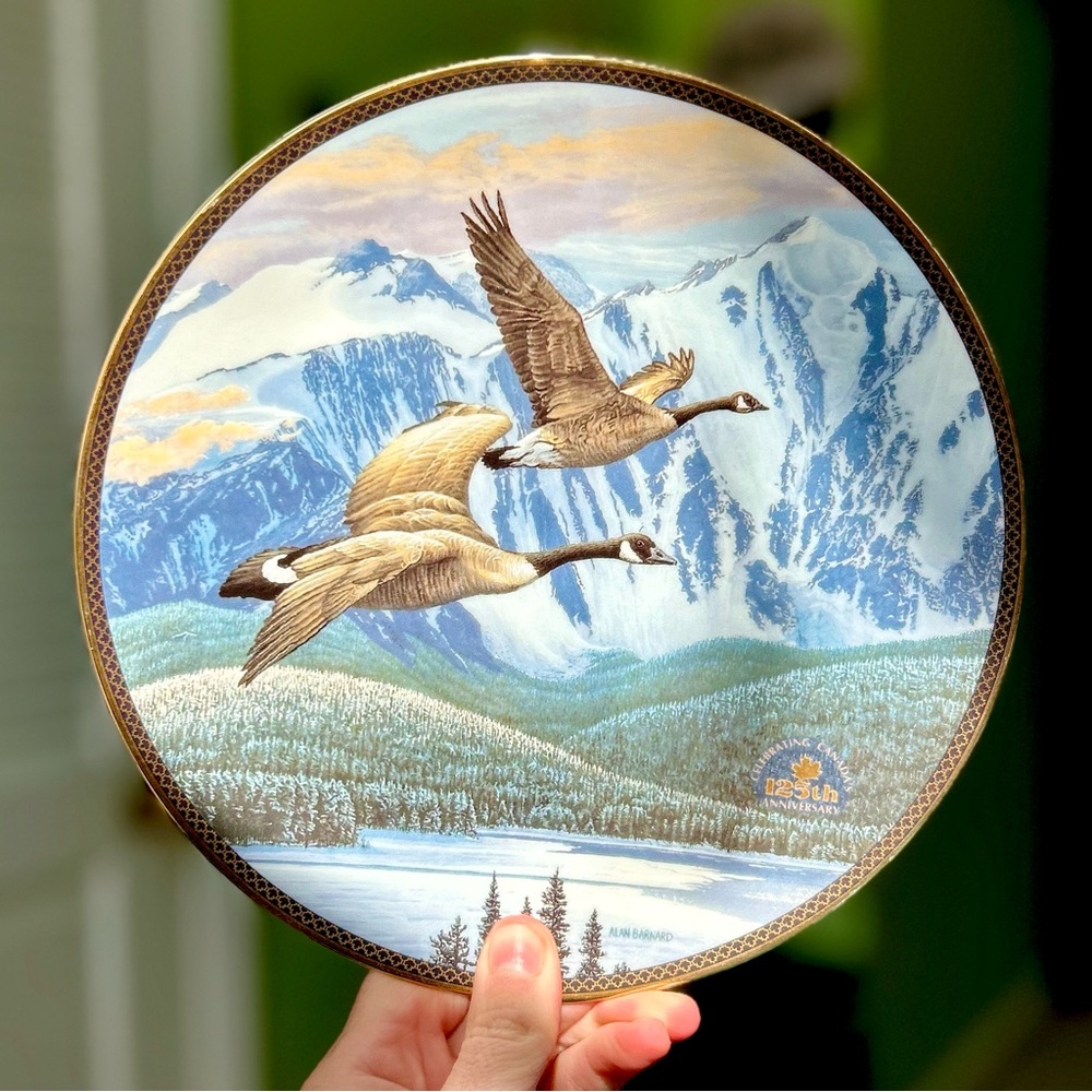 Vintage Wildlife Geese In Flight Mountains Scenery Vibrant Wall Hanging Plate - Picture 4 of 6